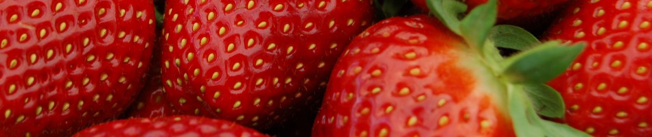 Elliker Obst & Beeren