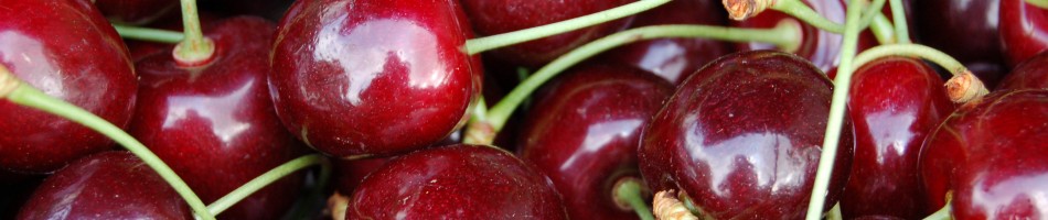 Elliker Obst & Beeren